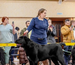 АЛАКСАР СВЕТ ТИМУДЖИН