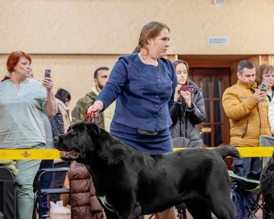 АЛАКСАР СВЕТ ТИМУДЖИН