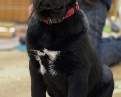 АЛАКСАР СВЕТ АЛТАЙ