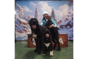 АЛАКСАР СВЕТ ЭРБАХ