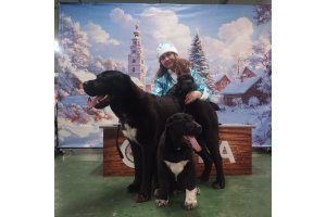 АЛАКСАР СВЕТ ЭРБАХ