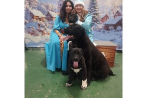 АЛАКСАР СВЕТ ЭРБАХ