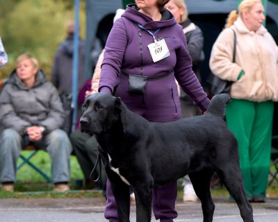 АЛАКСАР СВЕТ ТРИКСИ