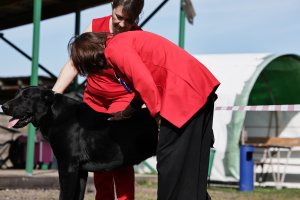 АЛАКСАР СВЕТ ТРИКСИ (ТРИКСИ)