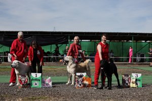 АЛАКСАР СВЕТ ТРИКСИ (ТРИКСИ)