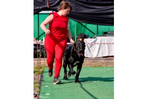 АЛАКСАР СВЕТ ТРИКСИ (ТРИКСИ)