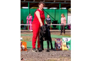 АЛАКСАР СВЕТ ТРИКСИ (ТРИКСИ)