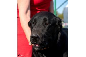 АЛАКСАР СВЕТ ТРИКСИ (ТРИКСИ)