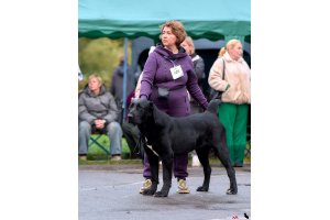 АЛАКСАР СВЕТ ТРИКСИ (ТРИКСИ)