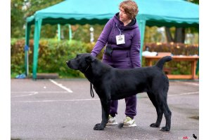 АЛАКСАР СВЕТ ТРИКСИ (ТРИКСИ)