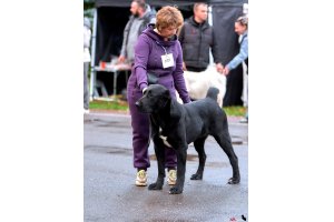 АЛАКСАР СВЕТ ТРИКСИ (ТРИКСИ)