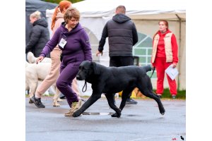 АЛАКСАР СВЕТ ТРИКСИ (ТРИКСИ)