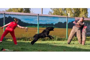 АЛАКСАР СВЕТ ТРИКСИ (ТРИКСИ)