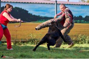 АЛАКСАР СВЕТ ТРИКСИ (ТРИКСИ)