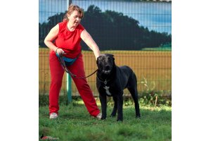 АЛАКСАР СВЕТ ТРИКСИ (ТРИКСИ)