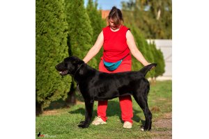 АЛАКСАР СВЕТ ТРИКСИ (ТРИКСИ)