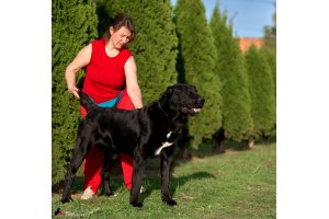 АЛАКСАР СВЕТ ТРИКСИ (ТРИКСИ)