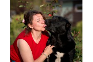 АЛАКСАР СВЕТ ТРИКСИ (ТРИКСИ)