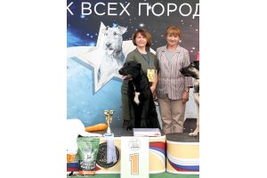 АЛАКСАР СВЕТ ТРИКСИ (ТРИКС)