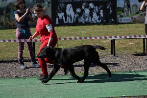 АЛАКСАР СВЕТ ЯРИС (ЯРИС)