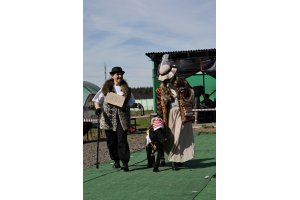 АЛАКСАР СВЕТ ЯРИС (ЯРИС)