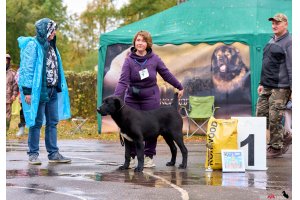 АЛАКСАР СВЕТ ЯРИС (ЯРИС)