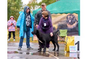АЛАКСАР СВЕТ ЯРИС (ЯРИС)