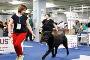 АЛАКСАР СВЕТ ЯРИС (ЯРИС)