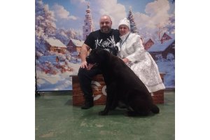 АЛАКСАР СВЕТ ЯРОМИР ТАЙСОН