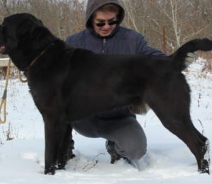 ДАНЗУ