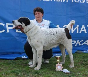 ХАБА