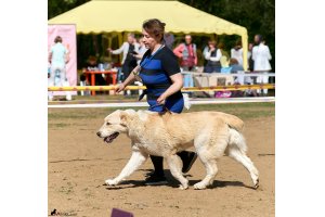 ВИЗАНТИЯ ДЕ ЛЮКС ДЛЯ АЛАКСАР СВЕТ (ТИНА)