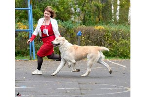 ВИЗАНТИЯ ДЕ ЛЮКС ДЛЯ АЛАКСАР СВЕТ (ТИНА)