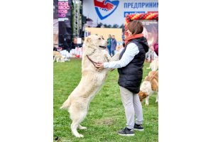 ВИЗАНТИЯ ДЕ ЛЮКС ДЛЯ АЛАКСАР СВЕТ (ТИНА)