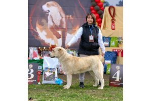 ВИЗАНТИЯ ДЕ ЛЮКС ДЛЯ АЛАКСАР СВЕТ (ТИНА)