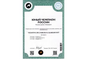ВИЗАНТИЯ ДЕ ЛЮКС ДЛЯ АЛАКСАР СВЕТ (ТИНА)