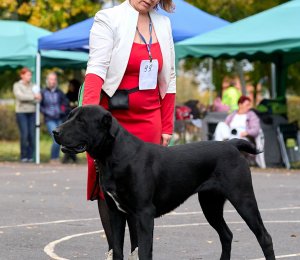 ЖАНУБ ЕЛ ЕНИШ БАЙГУШ (СОНЯ)