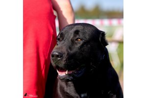 ЖАНУБ ЕЛ ЕНИШ БАЙГУШ (СОНЯ)