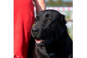 ЖАНУБ ЕЛ ЕНИШ БАЙГУШ (СОНЯ)