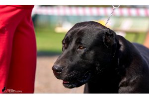 ЖАНУБ ЕЛ ЕНИШ БАЙГУШ (СОНЯ)