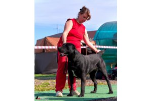 ЖАНУБ ЕЛ ЕНИШ БАЙГУШ (СОНЯ)