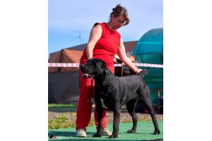 ЖАНУБ ЕЛ ЕНИШ БАЙГУШ (СОНЯ)