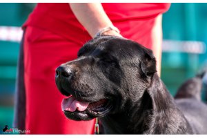 ЖАНУБ ЕЛ ЕНИШ БАЙГУШ (СОНЯ)