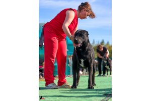 ЖАНУБ ЕЛ ЕНИШ БАЙГУШ (СОНЯ)