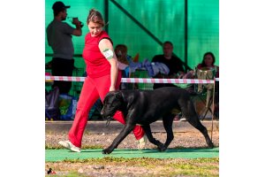 ЖАНУБ ЕЛ ЕНИШ БАЙГУШ (СОНЯ)