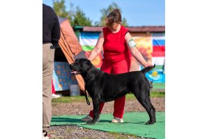 ЖАНУБ ЕЛ ЕНИШ БАЙГУШ (СОНЯ)