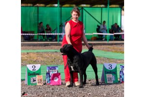 ЖАНУБ ЕЛ ЕНИШ БАЙГУШ (СОНЯ)