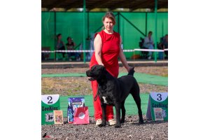 ЖАНУБ ЕЛ ЕНИШ БАЙГУШ (СОНЯ)