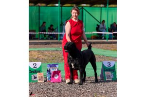 ЖАНУБ ЕЛ ЕНИШ БАЙГУШ (СОНЯ)