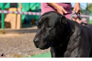 ЖАНУБ ЕЛ ЕНИШ БАЙГУШ (СОНЯ)